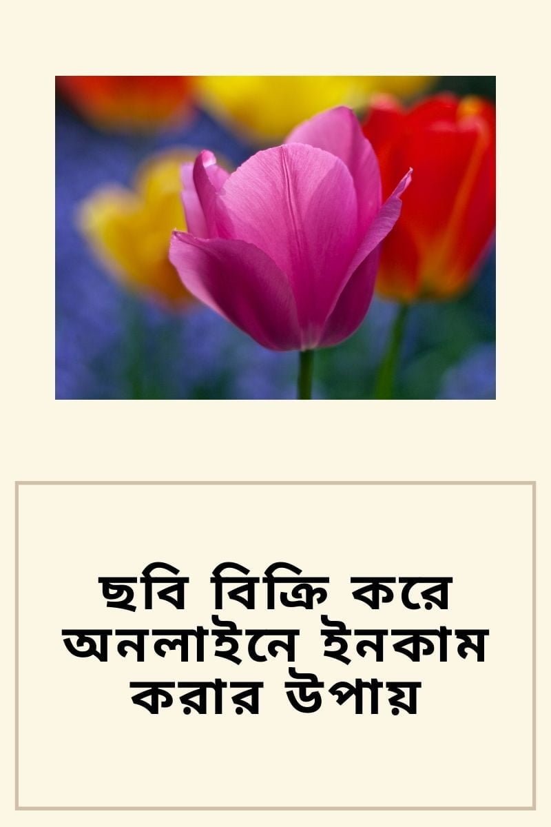 ছবি বিক্রি করে অনলাইনে ইনকাম ২০২২